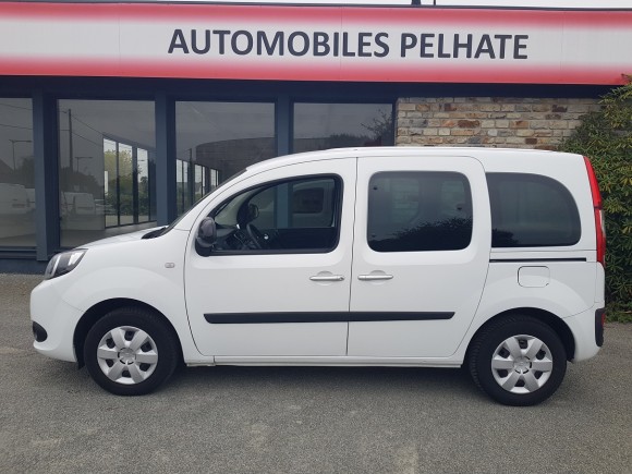 RENAULT KANGOO II 
